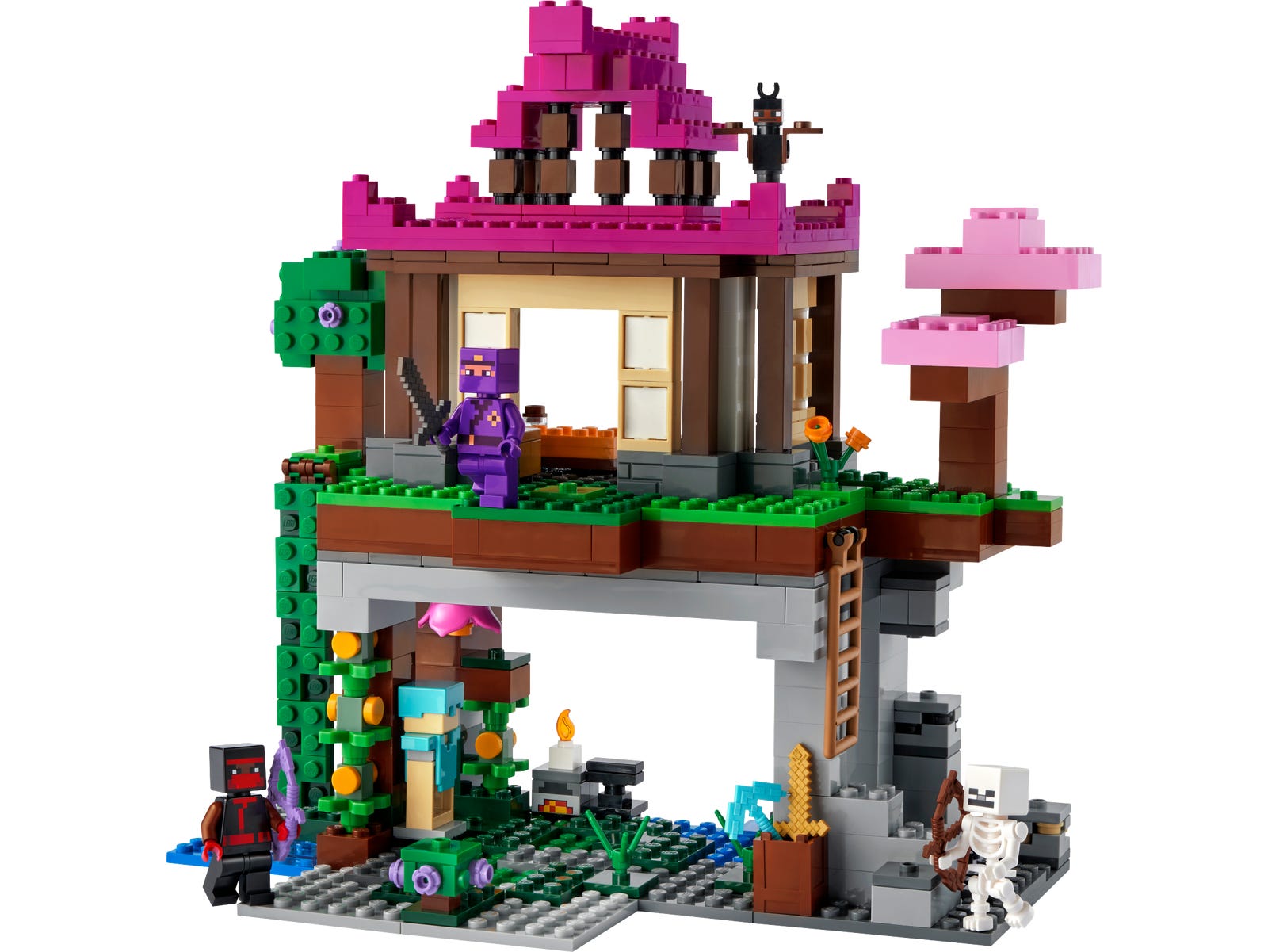 The Training Grounds LEGO Minecraft set (#21183-1, 2022)
