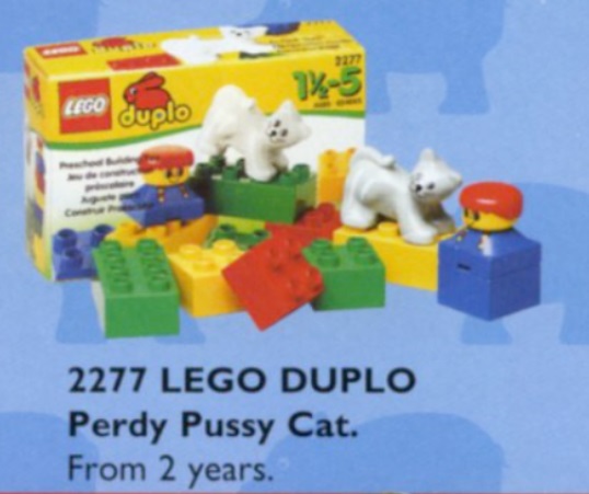 Boy with Cat LEGO Basic Set set (#2277-1, 1998)