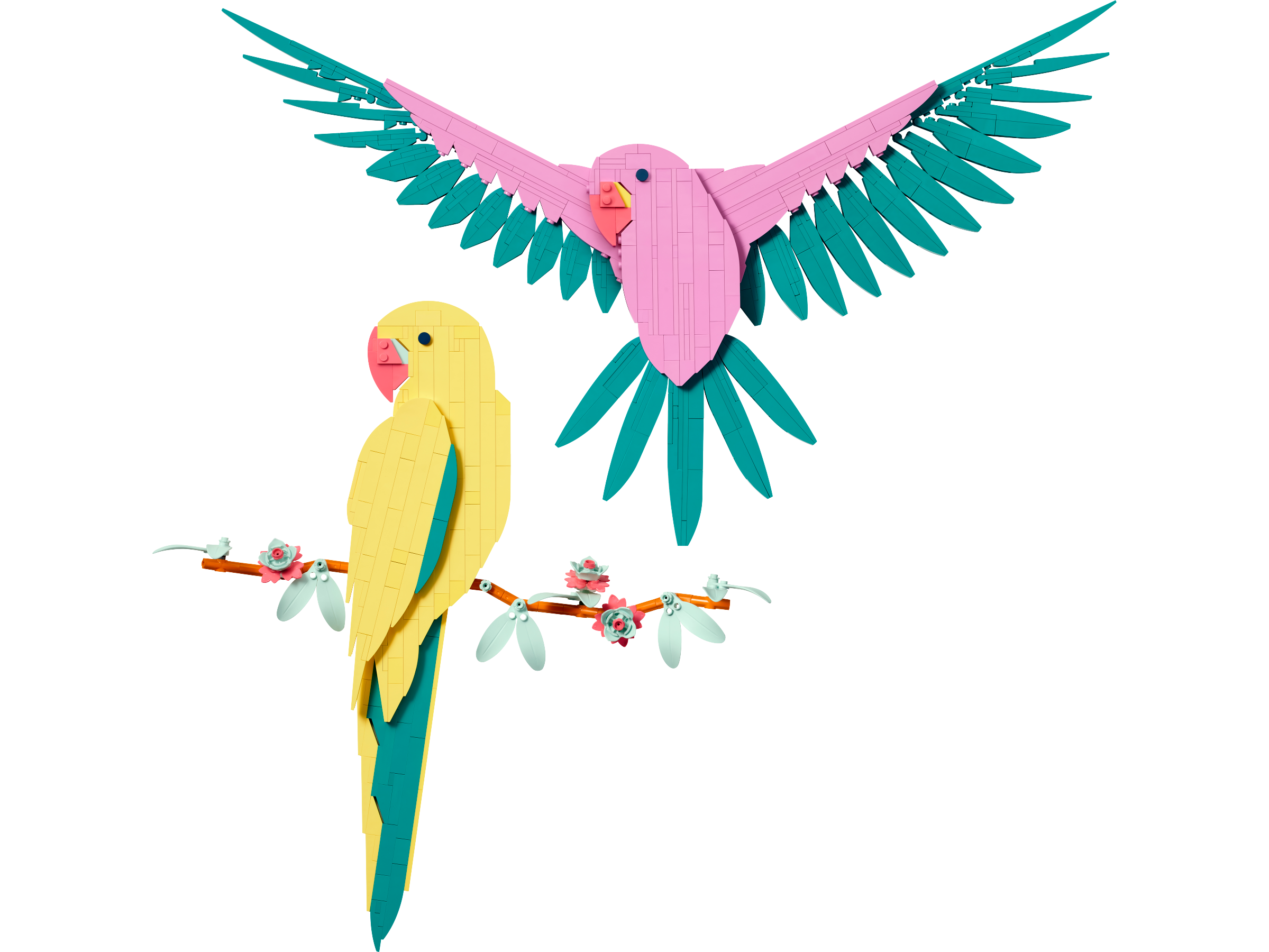 Macaw Parrots LEGO set (#31211-1)